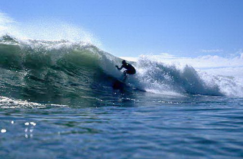 Blue wave breaking with surfer coming towards the camera